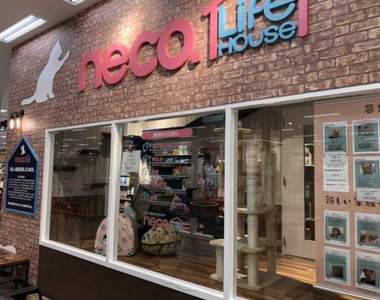 日本寵物店增設《認養專區》鼓勵認養盼能減少更多的動物安樂死 日本寵物店增設《認養專區》鼓勵認養盼能減少更多的動物安樂死