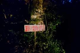 2ch知名都市傳說《巨頭オ》竟被發現真實存在鹿兒島縣內!? 2ch知名都市傳說《巨頭オ》竟被發現真實存在鹿兒島縣內!?