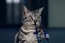 《最新寵物貓名字調查2018》連狗狗都可能撞名的人氣名字果然還是... 《最新寵物貓名字調查2018》連狗狗都可能撞名的人氣名字果然還是...