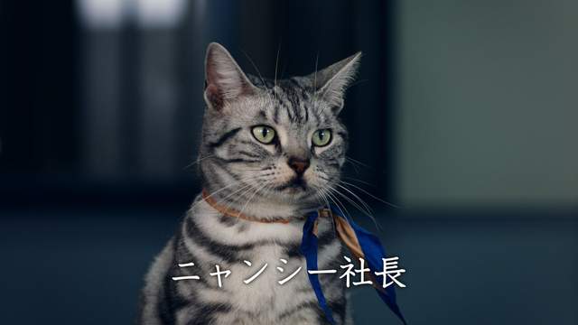 《最新寵物貓名字調查2018》連狗狗都可能撞名的人氣名字果然還是... 《最新寵物貓名字調查2018》連狗狗都可能撞名的人氣名字果然還是...