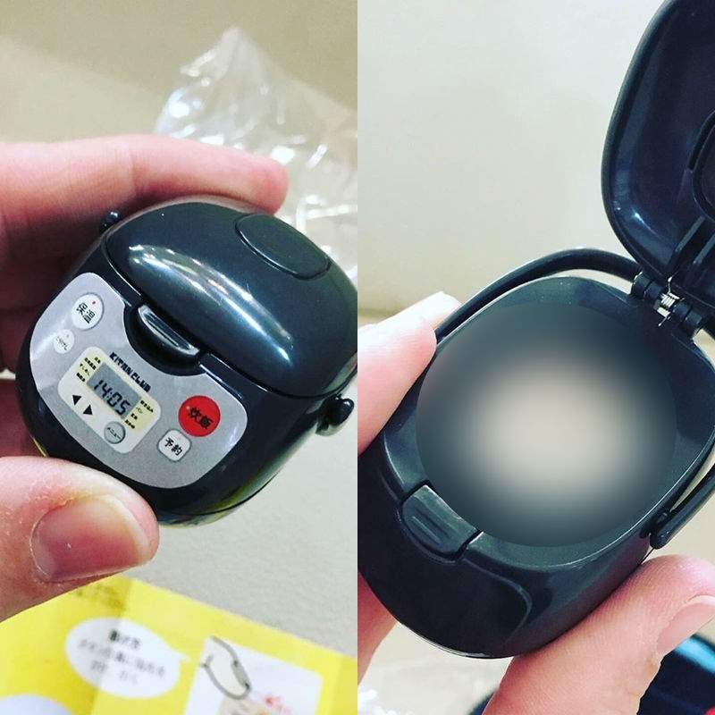 網友創意無極限！原來這才是《電子鍋扭蛋》的用途？拿來餵OO剛剛好w