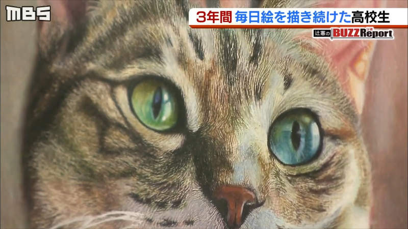 《色鉛筆繪師安部祐一朗》一張貓畫作紅遍全世界 17歲高中生勤奮練習超越照片的境界 《色鉛筆繪師安部祐一朗》一張貓畫作紅遍全世界 17歲高中生勤奮練習超越照片的境界