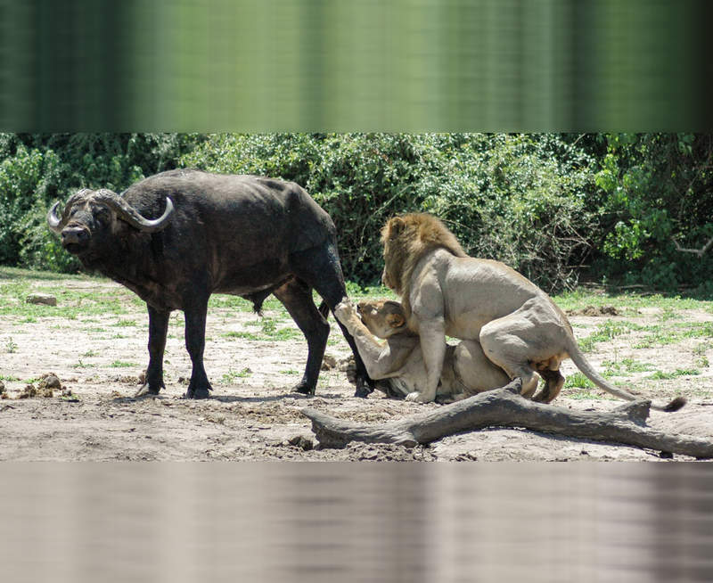 嘴角失守《很難忍住不笑的GIF》要不要挑戰一下你到第幾張才笑出來呢XD