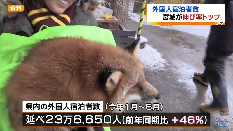 《台灣人超愛去日本東北》台灣旅客橫掃上半年觀光統計 宮城與福島為什麼成為今年首選？