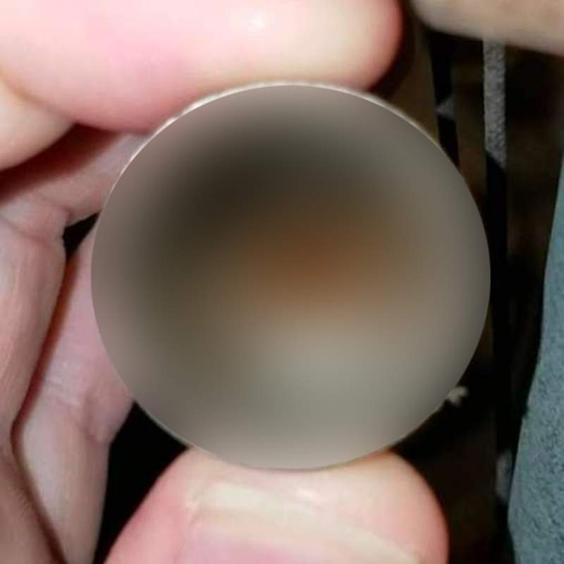 【閱覽注意】《風鈴內的生物》颶風過後家中出現意想不到的訪客 【閱覽注意】《風鈴內的生物》颶風過後家中出現意想不到的訪客