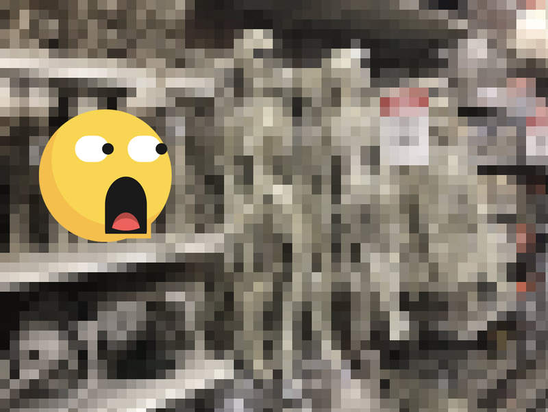 萬聖節前哨戰《美國賣場滿滿的骷髏裝飾》這間店肯定不缺什麼...不缺鈣