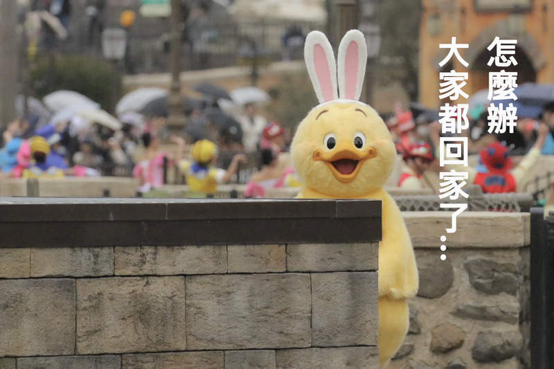東京迪士尼海洋《兔耳小雞》新登場 沒搭上船回家的無辜模樣萌翻推民❤ 東京迪士尼海洋《兔耳小雞》新登場 沒搭上船回家的無辜模樣萌翻推民❤