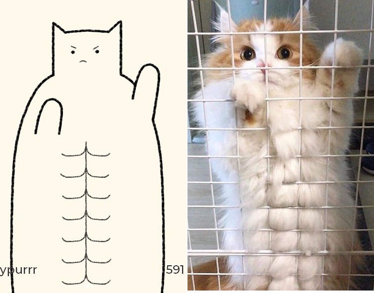 天才的發想《用幾條線還原喵星人姿勢》很不一樣的貓圖妳猜得到原本的POSE嘛XDD 天才的發想《用幾條線還原喵星人姿勢》很不一樣的貓圖妳猜得到原本的POSE嘛XDD