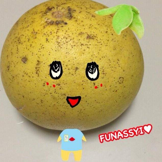 LINE貼文串《畫柚子大賽》今年中秋看看誰家的柚子最有創意 LINE貼文串《畫柚子大賽》今年中秋看看誰家的柚子最有創意