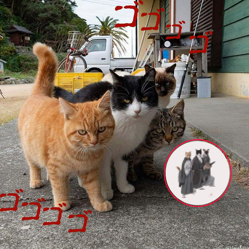 極惡四天王參上《不良貓的武士擬人化》繪師精湛功力讓喵星人的魅力突破上限MAX啦