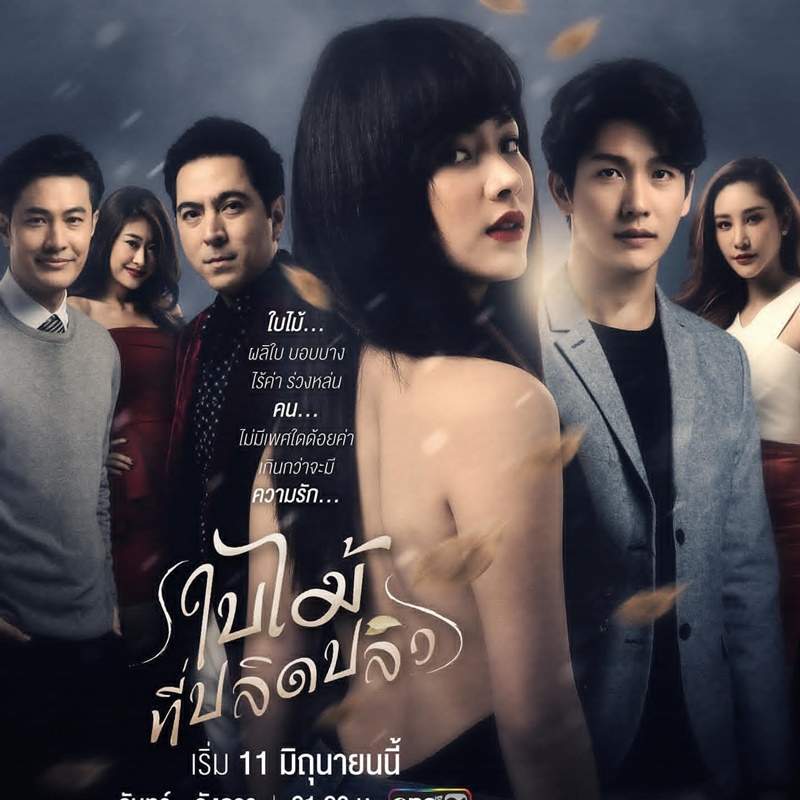 兒子向家暴父復仇決定變性誘拐他《吹落的樹葉》第一集直接自捅陰道辛辣開場 兒子向家暴父復仇決定變性誘拐他《吹落的樹葉》第一集直接自捅陰道辛辣開場