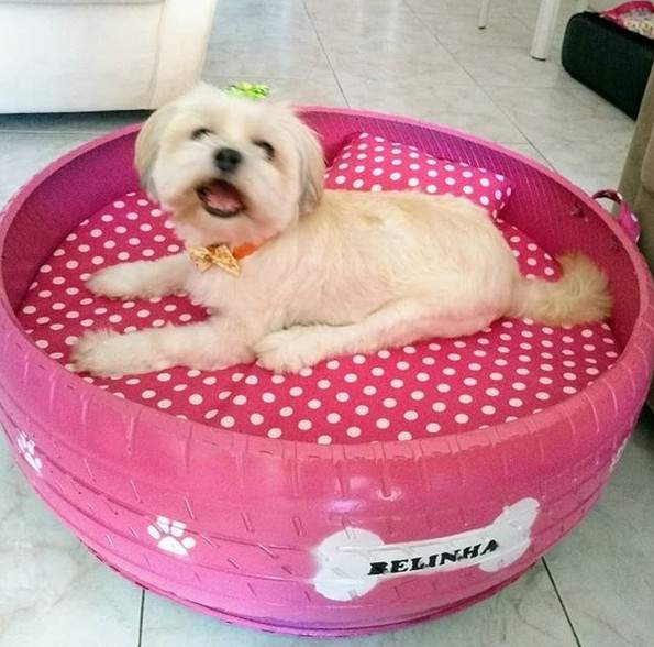 《輪胎寵物床》巴西少年將廢棄輪胎加工的商品有愛又環保