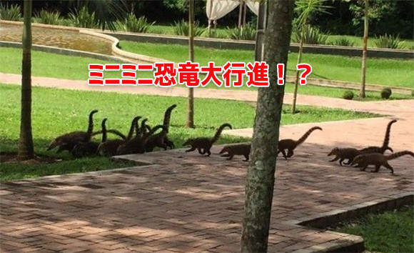 侏儸紀世界4不4《容易讓人看錯的畫面》差一點以為是一群恐龍從眼前經過呢