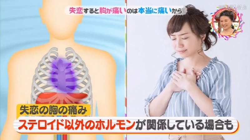 日本節目解說《失戀會心痛的理由》沒想到失戀的心痛真的是心臟在痛！？