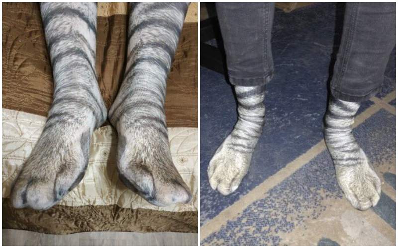 推特瘋傳《超擬真貓襪》竟然連肉球都有?穿上後有種人型巨貓的既視感是怎麼回事喵(ΦωΦ) 推特瘋傳《超擬真貓襪》竟然連肉球都有?穿上後有種人型巨貓的既視感是怎麼回事喵(ΦωΦ)