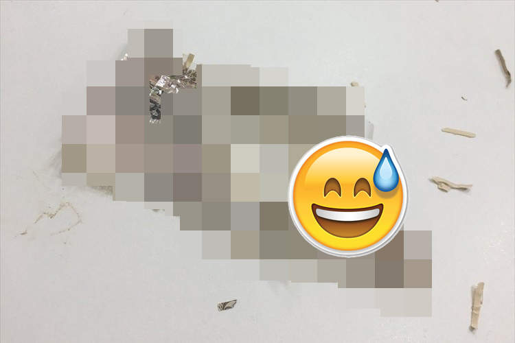 這個機率有神《鈔票飛進碎紙機裡》銀行表示：如果能一片片貼回來還可以換張新鈔給你