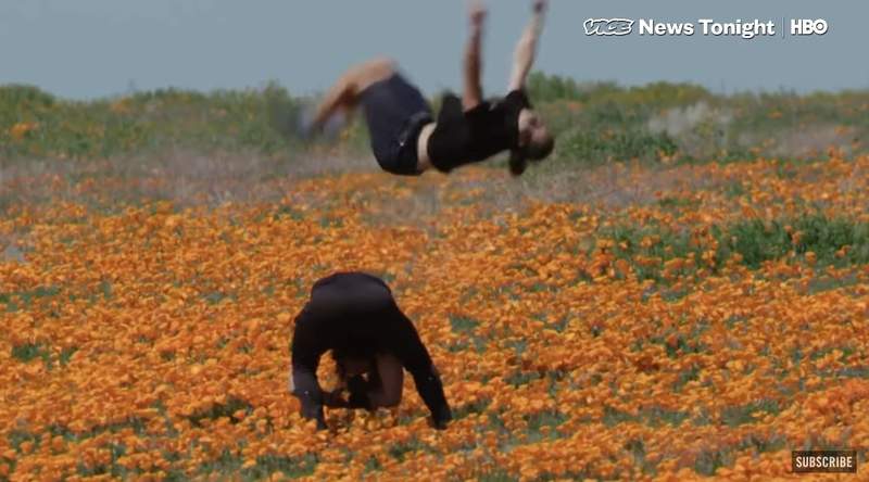 保育員疾呼《不要踩進花田拍照》為了好照片 花田快被網美們毀了... 保育員疾呼《不要踩進花田拍照》為了好照片 花田快被網美們毀了...