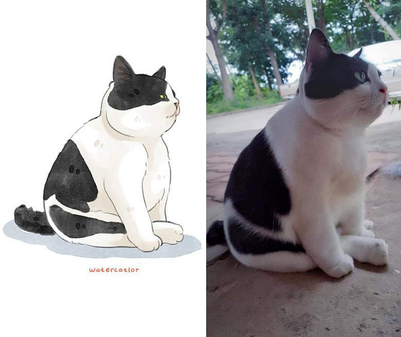 網路梗圖插畫化《喵星人的搞怪日常》每一隻貓貓都超鬧超可愛 網路梗圖插畫化《喵星人的搞怪日常》每一隻貓貓都超鬧超可愛