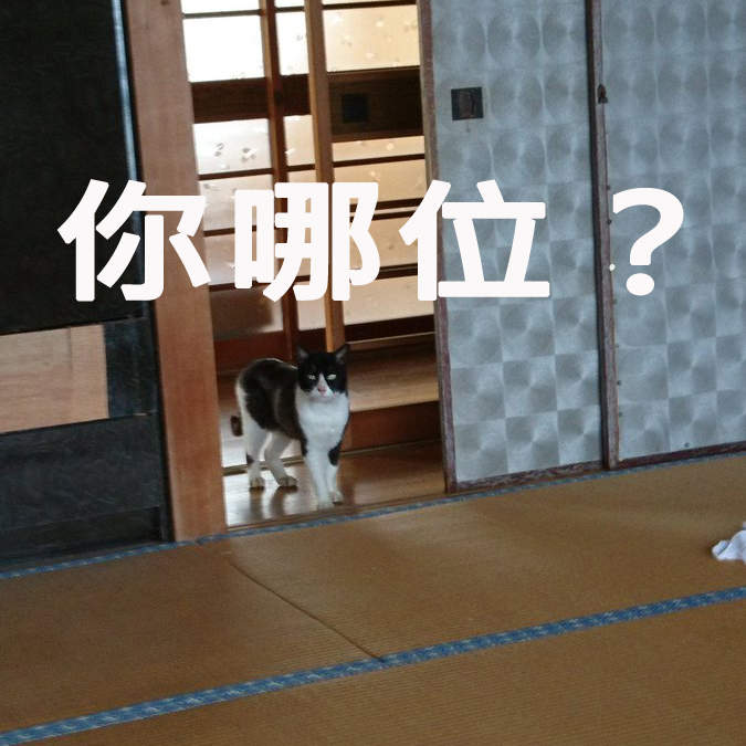 《陌生貓闖入民宅》家中出現不明貓咪似乎已成鄉下地方的共同常識? 《陌生貓闖入民宅》家中出現不明貓咪似乎已成鄉下地方的共同常識?