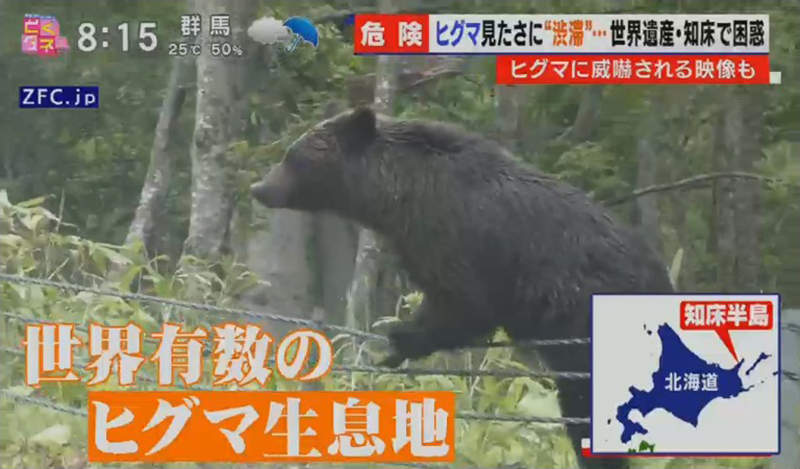 《北海道遊客不要命》白目觀光客接近棕熊搶拍照 屢勸不聽總有一天會出事…… 《北海道遊客不要命》白目觀光客接近棕熊搶拍照 屢勸不聽總有一天會出事……