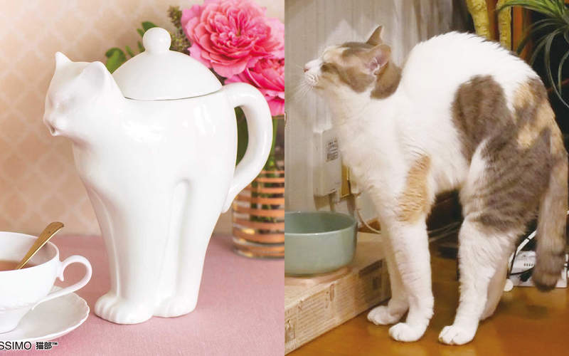《貓伸懶腰茶壺》完全再現喵剛睡醒時那拱起背部的舒爽姿勢 《貓伸懶腰茶壺》完全再現喵剛睡醒時那拱起背部的舒爽姿勢