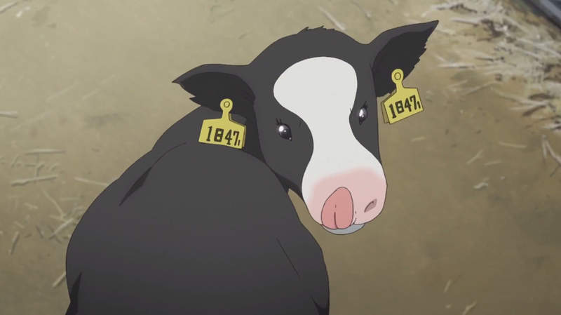 《虐待乳牛漫畫炎上》可憐乳牛渾身是病還被揍?酪農爆怒反駁胡說八道…… 《虐待乳牛漫畫炎上》可憐乳牛渾身是病還被揍?酪農爆怒反駁胡說八道……