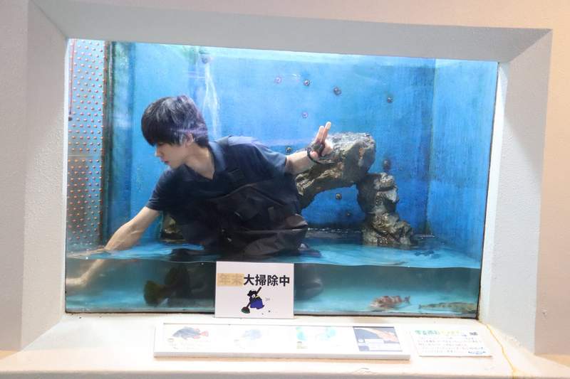 水族館型男秀 飼育員打掃水槽模樣被批是對男性的性騷擾