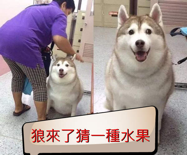 宅宅新聞《請高手出題》廢到笑LINE貼文串的猜燈謎活動