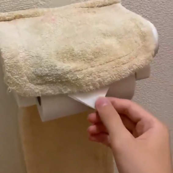 《最低調的廁所惡作劇》讓你從此再也不相信折成三角的衛生紙... 《最低調的廁所惡作劇》讓你從此再也不相信折成三角的衛生紙...