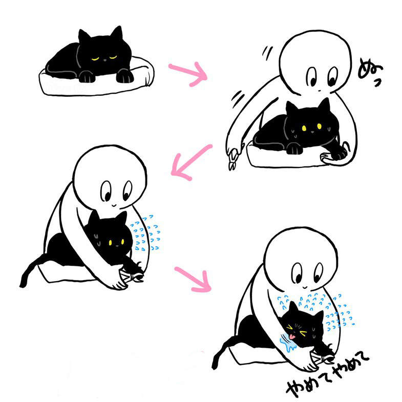 《貓咪剪指甲》喵最可愛的抵抗方式讓其他飼主羨慕不已❤ 《貓咪剪指甲》喵最可愛的抵抗方式讓其他飼主羨慕不已❤