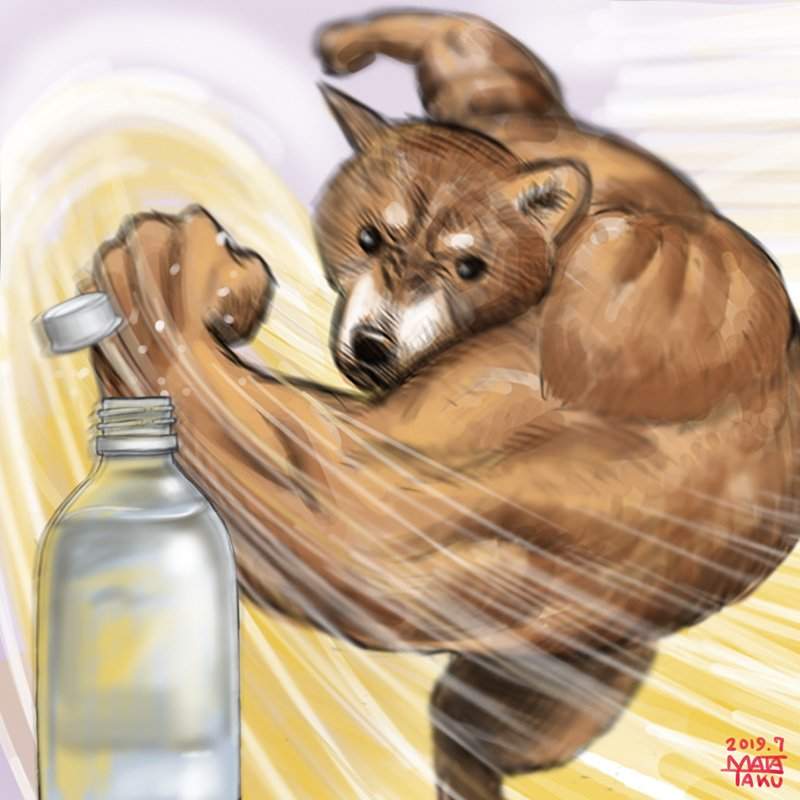 推友搞笑版《踢瓶蓋大挑戰》日本網友的各種創意「#BottleCapChallenge」真的好好笑XD 推友搞笑版《踢瓶蓋大挑戰》日本網友的各種創意「#BottleCapChallenge」真的好好笑XD