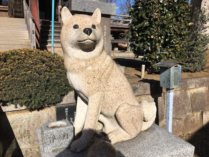 日本狗狗神社《板橋不動尊》境內可愛的狗狗雕像原來能為準媽媽們帶來好孕