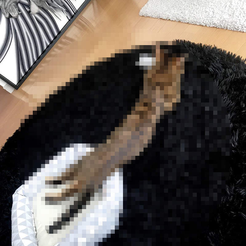 家中驚見《蟒蛇貓》又到了家中貓咪把身體伸長～長的季節...