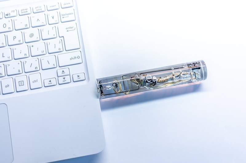 魚腦變成記憶體?《小魚乾隨身碟》重要資料全部寫入小魚乾腦內... 魚腦變成記憶體?《小魚乾隨身碟》重要資料全部寫入小魚乾腦內...