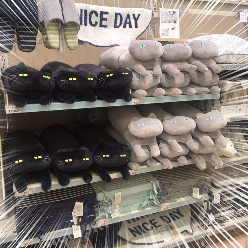 爆紅的預感？《宜得利黑貓抱枕》為什麼這眼神看著看著它就出現在我家惹...