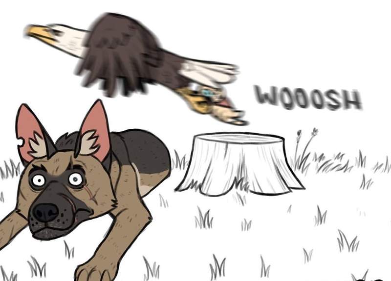 久違了《軍犬與家貓》最新創作 這次小貓真的被抓走了啊啊啊啊（驚恐）