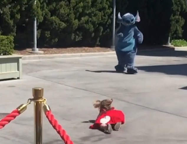 《好體貼的史迪奇》看到兩歲小粉絲跌倒 史迪奇的反應超級快 《好體貼的史迪奇》看到兩歲小粉絲跌倒 史迪奇的反應超級快