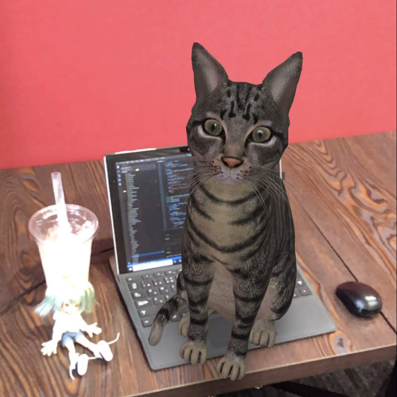 《Google搜尋招喚貓》只要搜尋名稱就能在房間放養各種AR動物...