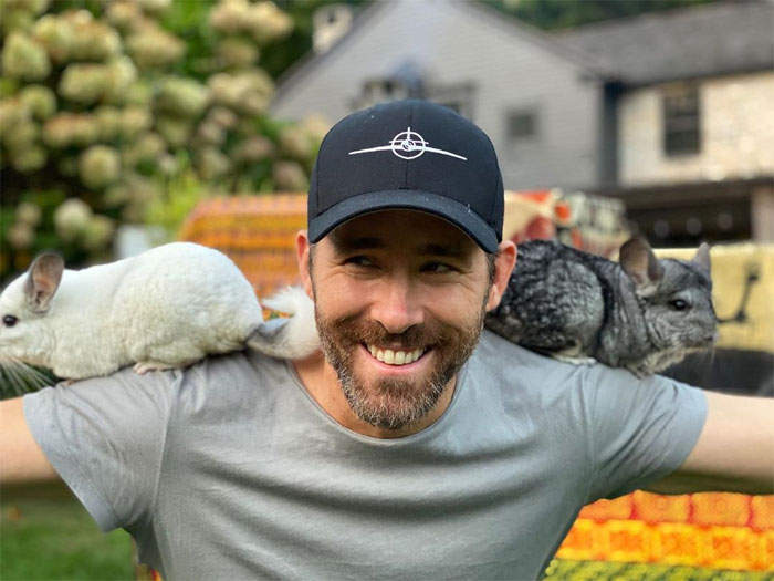 《萊恩雷諾斯提倡動物保育》IG表示動保團體有個不得了的動物,看起來很像某演員... 《萊恩雷諾斯提倡動物保育》IG表示動保團體有個不得了的動物,看起來很像某演員...