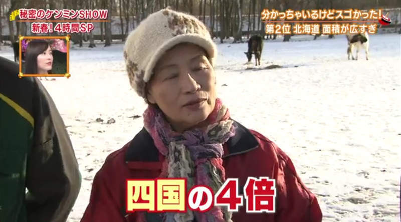 《北海道真的超級大》觀光客規畫行程不動腦 道民吐槽外地人小看北海道……