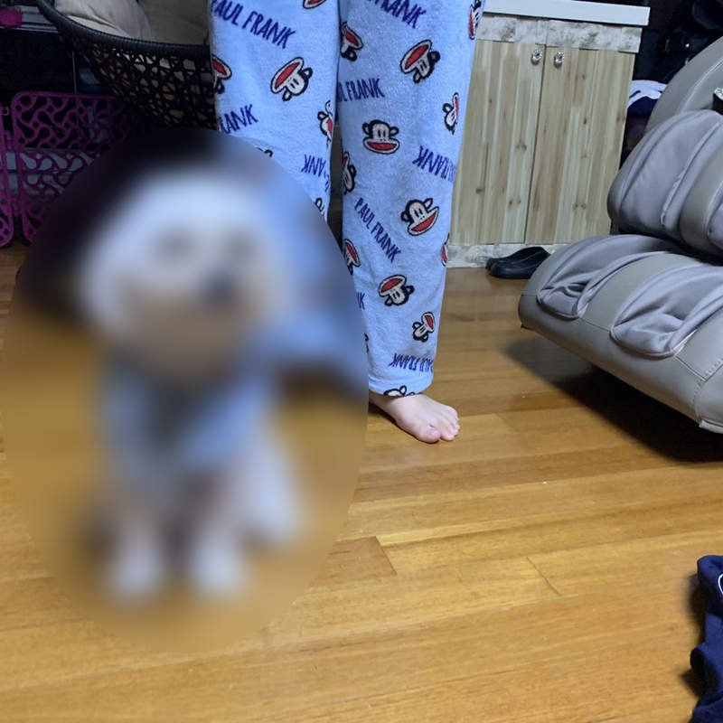 製作法出乎預料的《寵物親子衣》想跟毛孩穿一樣的衣服一點都不難