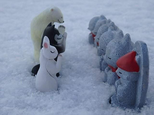 治癒系扭蛋《動物地藏》《合掌祈福動物第3彈》在家裡擺一排有種帶來好運的感覺耶 ❤