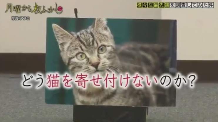 日本節目實測《能夠防止野貓翻垃圾的機器》超高感應精準度已經有87%這麼高惹XD