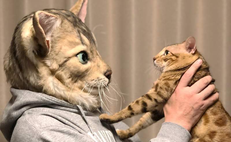 毛絨絨量身訂製《超擬真寵物面具My Family》秒變心愛毛小孩分身的代價30萬円起 毛絨絨量身訂製《超擬真寵物面具My Family》秒變心愛毛小孩分身的代價30萬円起