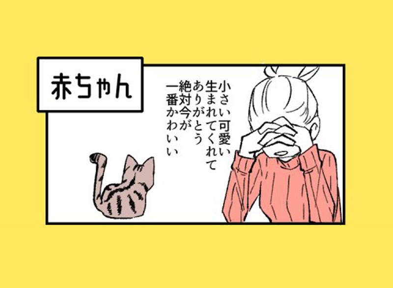 貓奴絕對懂《貓最可愛的時期》從幼貓到老貓,飼主覺得最可愛的時期原來是? 貓奴絕對懂《貓最可愛的時期》從幼貓到老貓,飼主覺得最可愛的時期原來是?