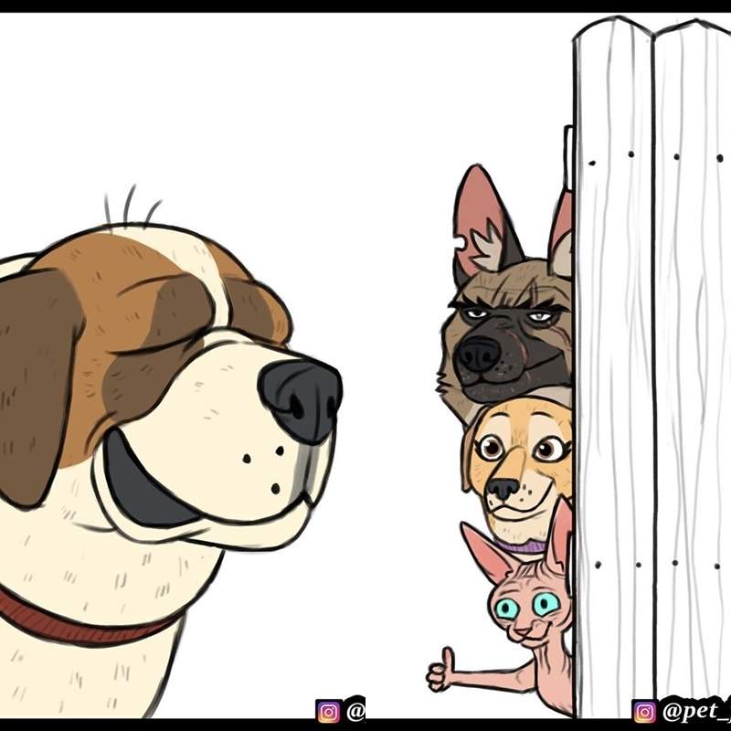 《軍犬與家貓》大更新　這次出現新夥伴讓人忍不住想保護阿～