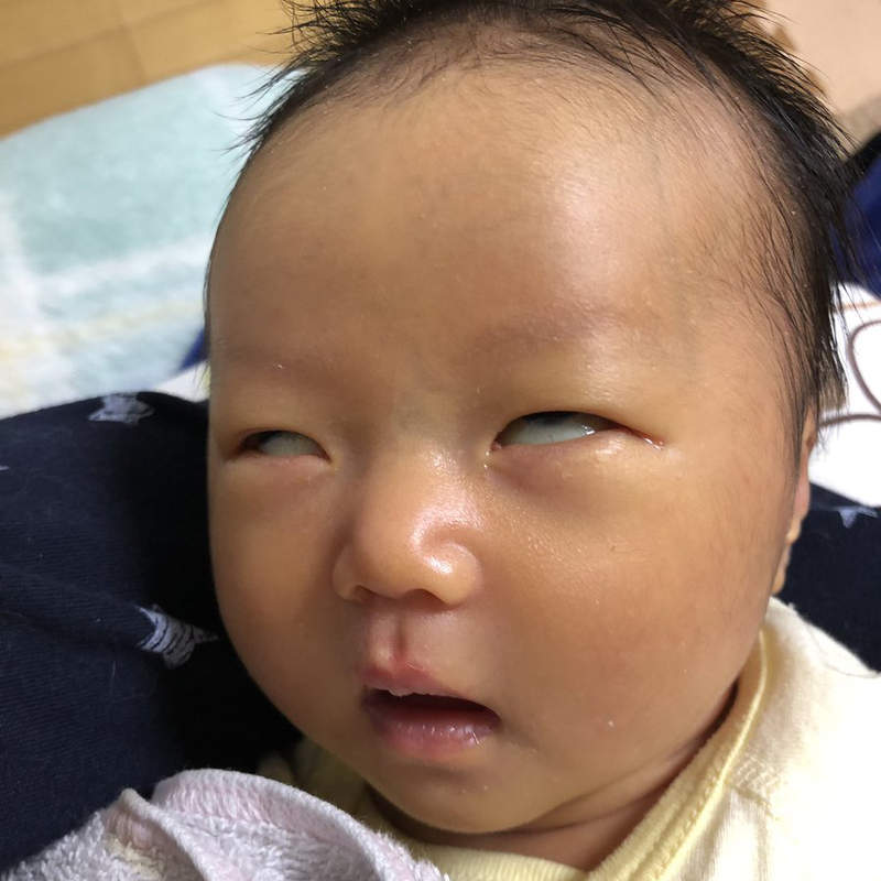 《小孩厭世照》一頭熱的通常只有爸媽,孩紙我可是百般不願啊(眼神死) 《小孩厭世照》一頭熱的通常只有爸媽,孩紙我可是百般不願啊(眼神死)