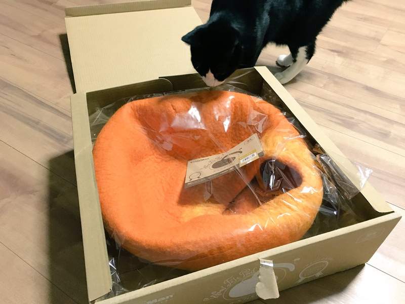 飼主難為《買床給貓的結果》無論你花再多錢都未必能看到你預想的畫面ww 飼主難為《買床給貓的結果》無論你花再多錢都未必能看到你預想的畫面ww