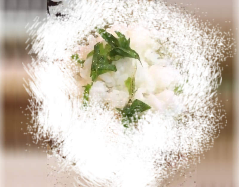 【閱覽注意】《日本白魚蓋飯》有聽過活跳蝦但沒想過活跳魚視覺衝擊也這麼強!? 【閱覽注意】《日本白魚蓋飯》有聽過活跳蝦但沒想過活跳魚視覺衝擊也這麼強!?