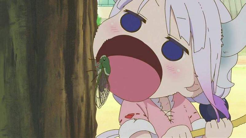 《人肉搜索的可怕》一張蟬照片讓住家3分鐘曝光 拍照分享千萬要小心…… 《人肉搜索的可怕》一張蟬照片讓住家3分鐘曝光 拍照分享千萬要小心……